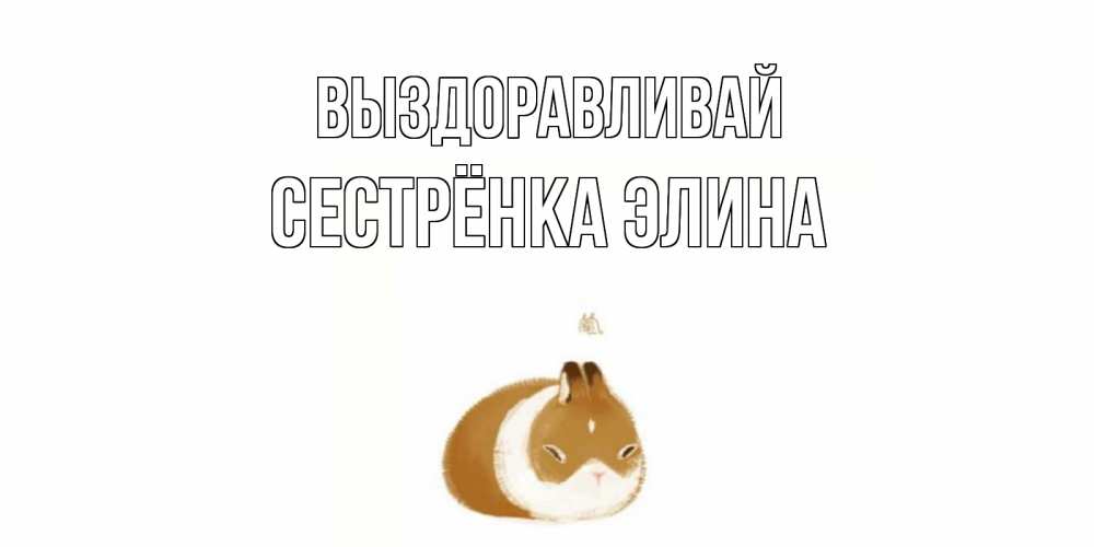 Открытка на каждый день с именем, Сестрёнка-Элина Выздоравливай морская свинка на открытке с пожеланиями не болеть Прикольная открытка с пожеланием онлайн скачать бесплатно 