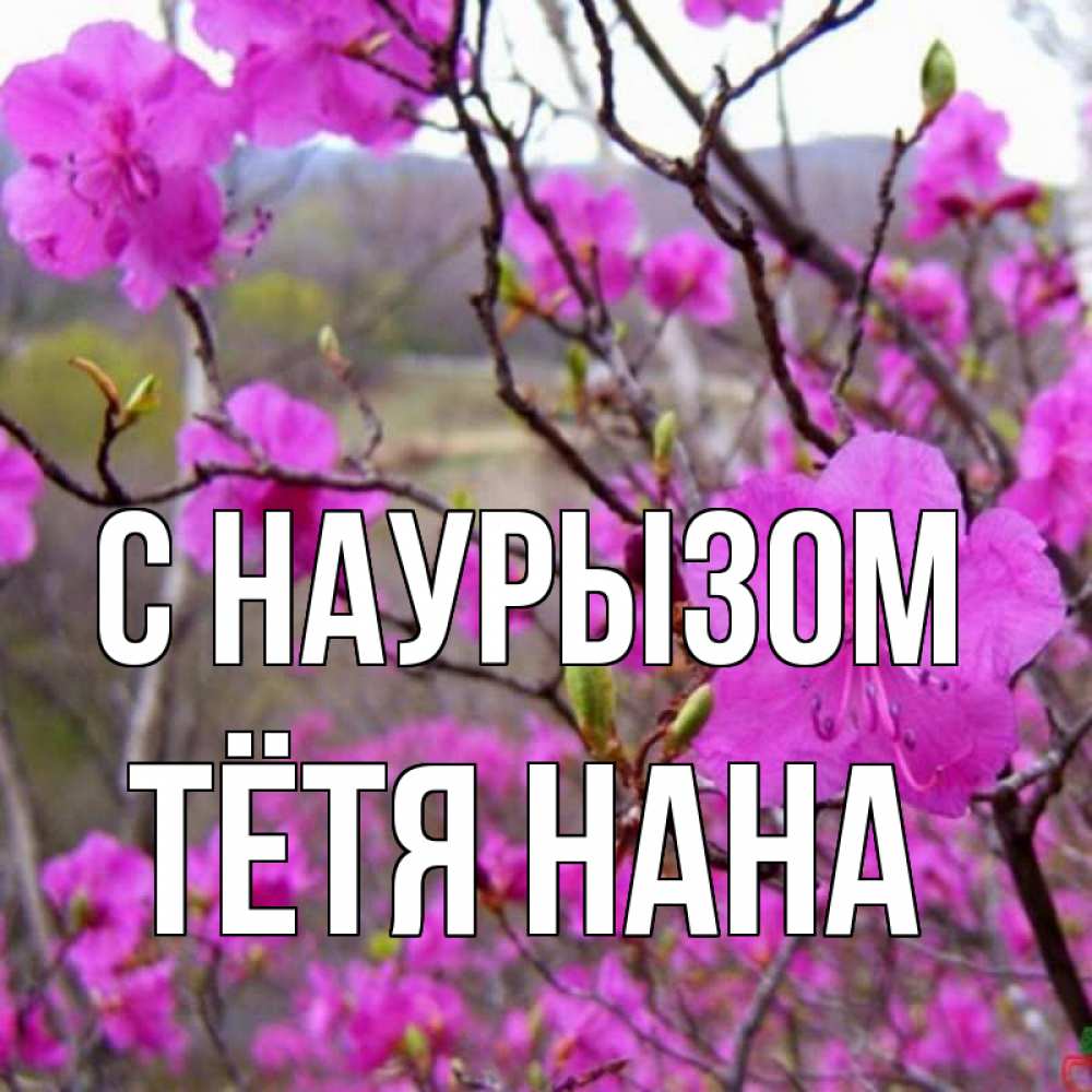 Открытка на каждый день с именем, Тётя-Нана С наурызом праздник весны наурыз Прикольная открытка с пожеланием онлайн скачать бесплатно 