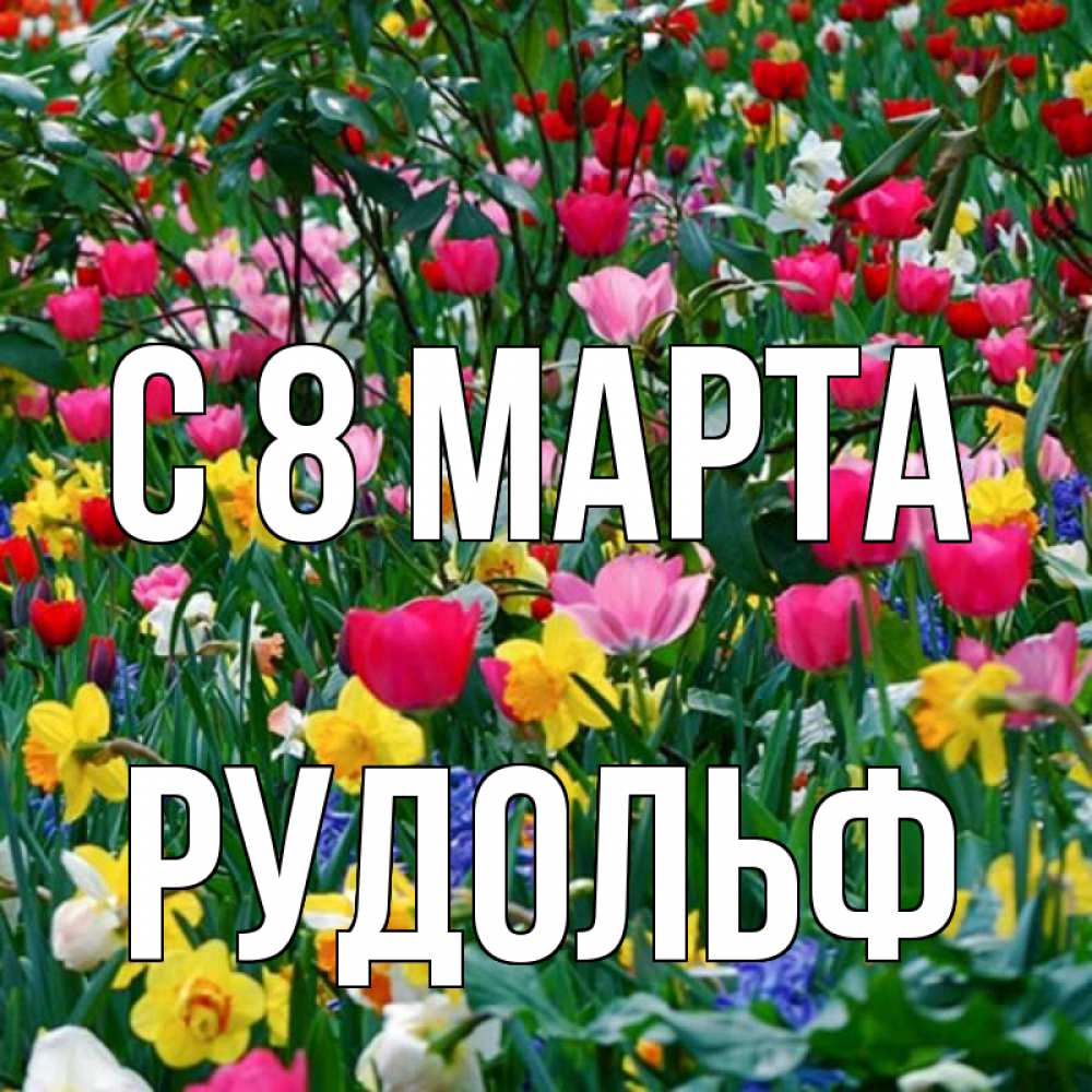 Открытка на каждый день с именем, Рудольф С 8 МАРТА с международным женским днем поздравления для женщины Прикольная открытка с пожеланием онлайн скачать бесплатно 