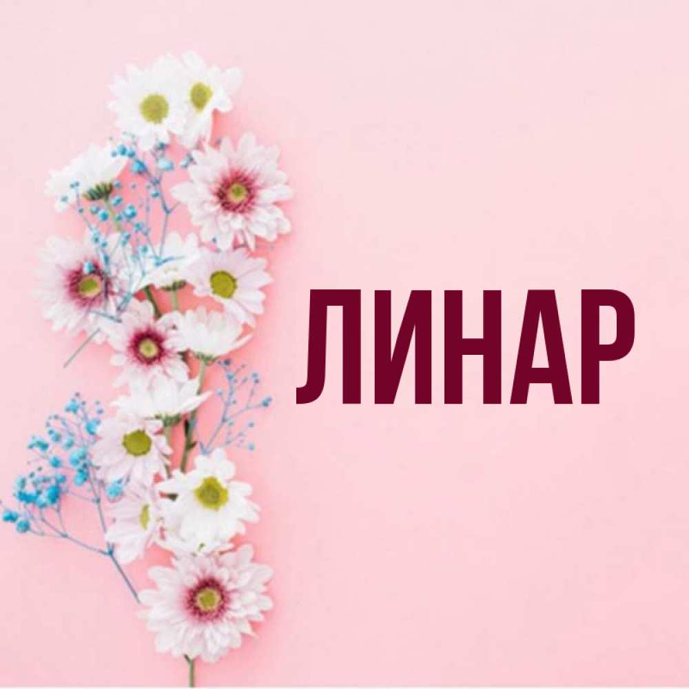 Линара с днем рождения картинки