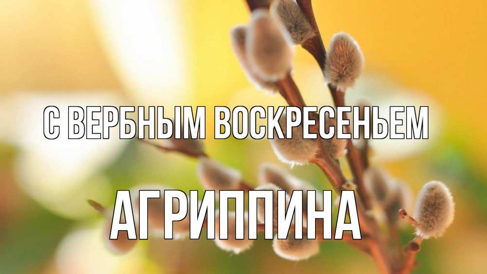 Открытка на каждый день с именем, Агриппина С вербным воскресеньем верба 1 Прикольная открытка с пожеланием онлайн скачать бесплатно 