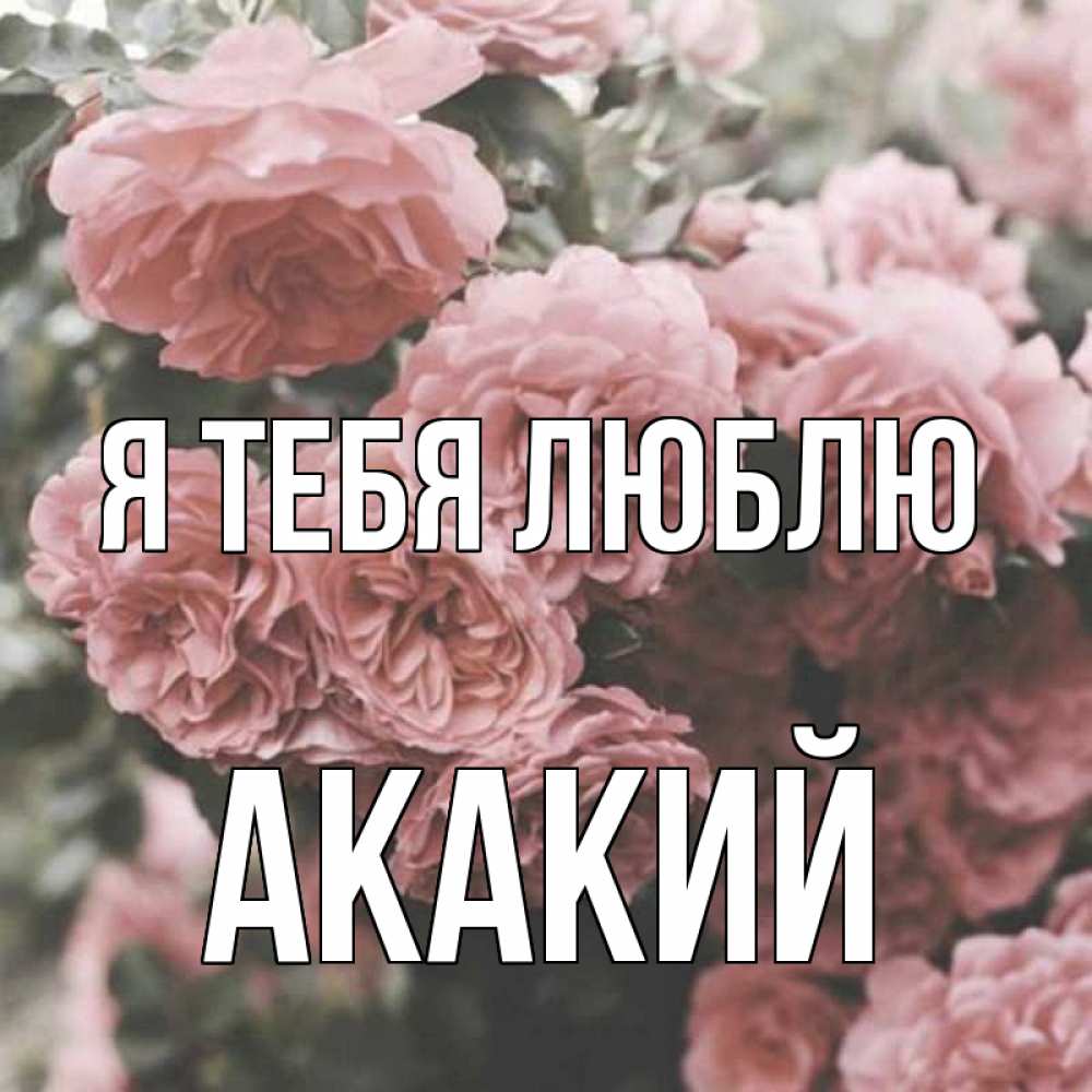 Открытка на каждый день с именем, Акакий Я тебя люблю розы 3 Прикольная открытка с пожеланием онлайн скачать бесплатно 