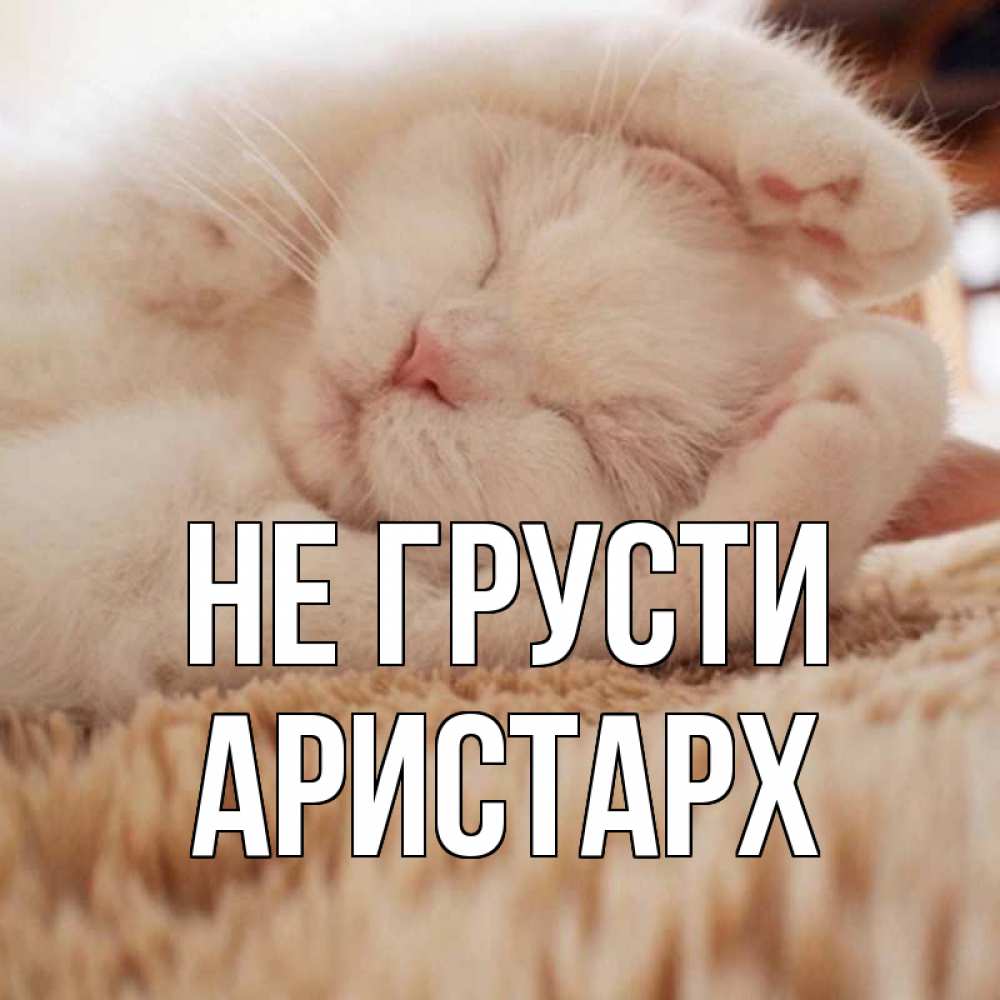Открытка на каждый день с именем, Аристарх Не грусти белый кот Прикольная открытка с пожеланием онлайн скачать бесплатно 