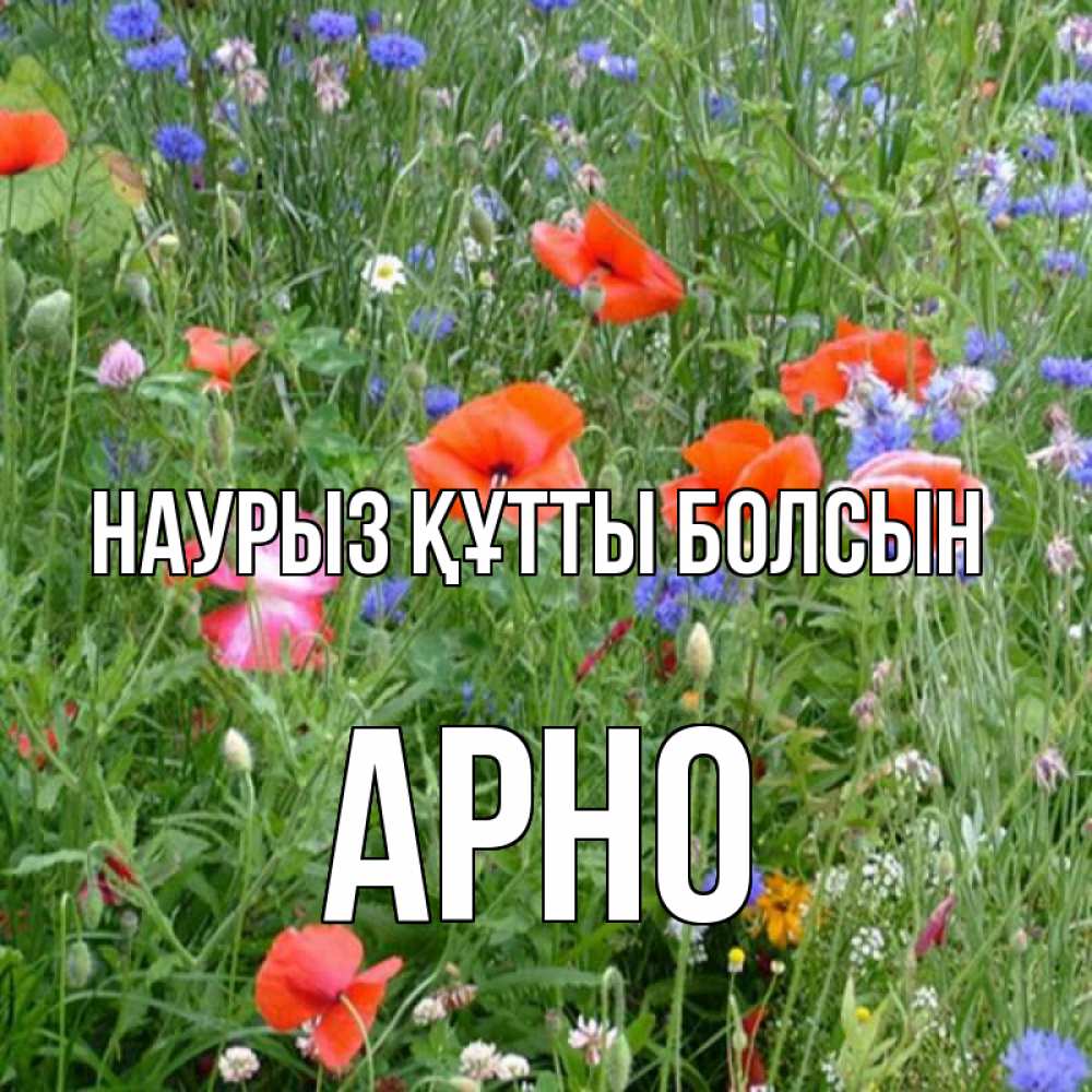 Открытка на каждый день с именем, Арно Наурыз құтты болсын наурыз  4 Прикольная открытка с пожеланием онлайн скачать бесплатно 