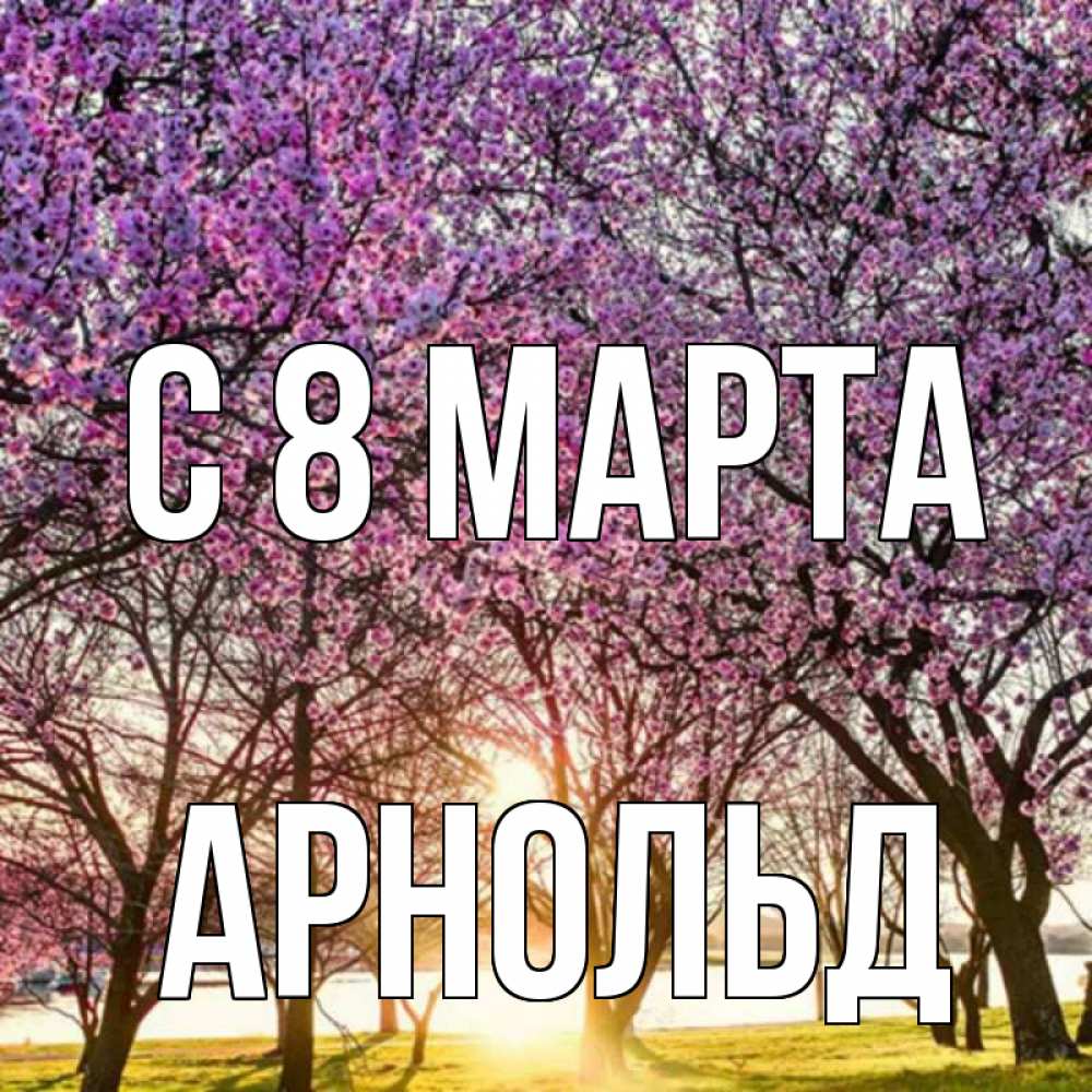 Открытка на каждый день с именем, Арнольд С 8 МАРТА международный женский день Прикольная открытка с пожеланием онлайн скачать бесплатно 