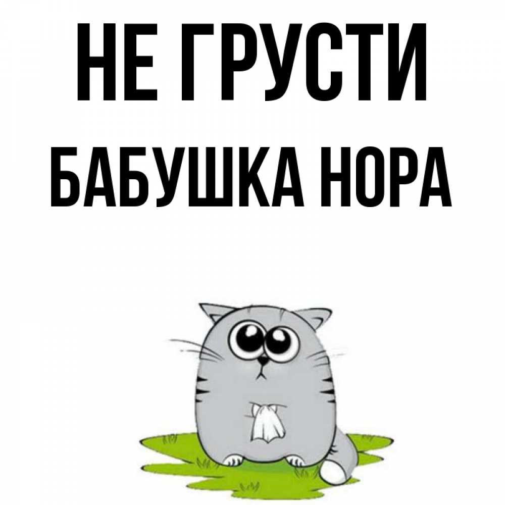 Открытка на каждый день с именем, Бабушка-Нора Не грусти грустный котяра Прикольная открытка с пожеланием онлайн скачать бесплатно 
