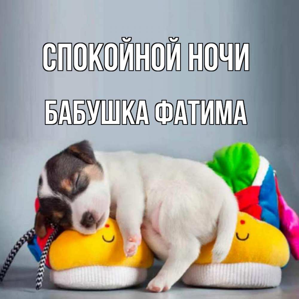 Открытка на каждый день с именем, Бабушка-Фатима Спокойной ночи собачка Прикольная открытка с пожеланием онлайн скачать бесплатно 