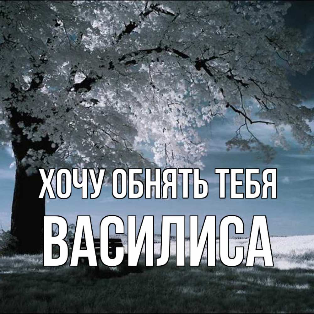 Открытка на каждый день с именем, Василиса Хочу обнять тебя дерево Прикольная открытка с пожеланием онлайн скачать бесплатно 