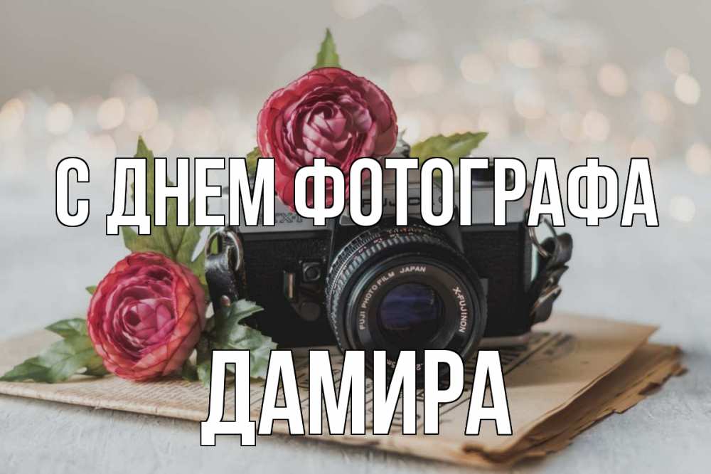 Открытка на каждый день с именем, Дамира С днем фотографа с днем фотографа Прикольная открытка с пожеланием онлайн скачать бесплатно 