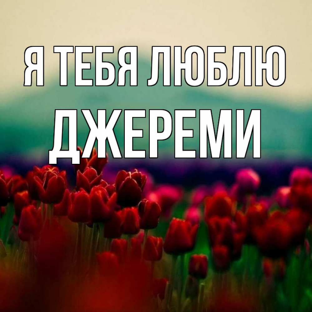 Открытка на каждый день с именем, Джереми Я тебя люблю тюльпаны 4 Прикольная открытка с пожеланием онлайн скачать бесплатно 
