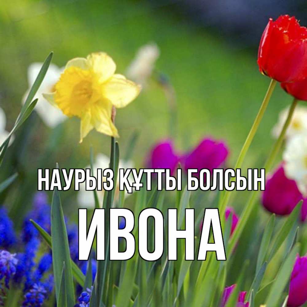 Открытка на каждый день с именем, Ивона Наурыз құтты болсын наурыз  3 открытки Прикольная открытка с пожеланием онлайн скачать бесплатно 
