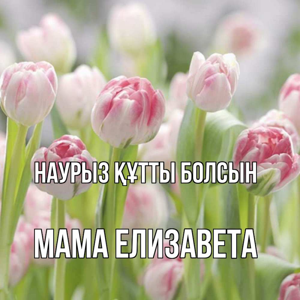 Открытка на каждый день с именем, Мама-Елизавета Наурыз құтты болсын цветы Прикольная открытка с пожеланием онлайн скачать бесплатно 