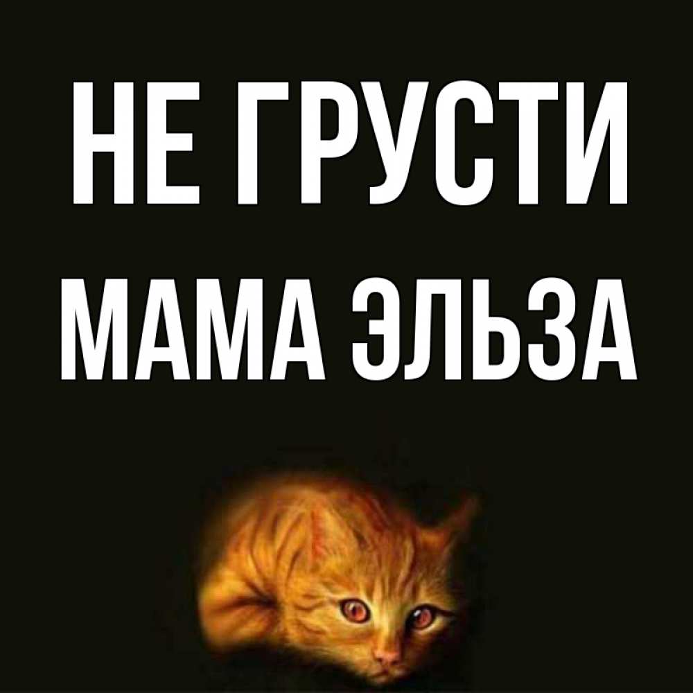 Открытка на каждый день с именем, Мама-Эльза Не грусти лежащий кот в темноте Прикольная открытка с пожеланием онлайн скачать бесплатно 
