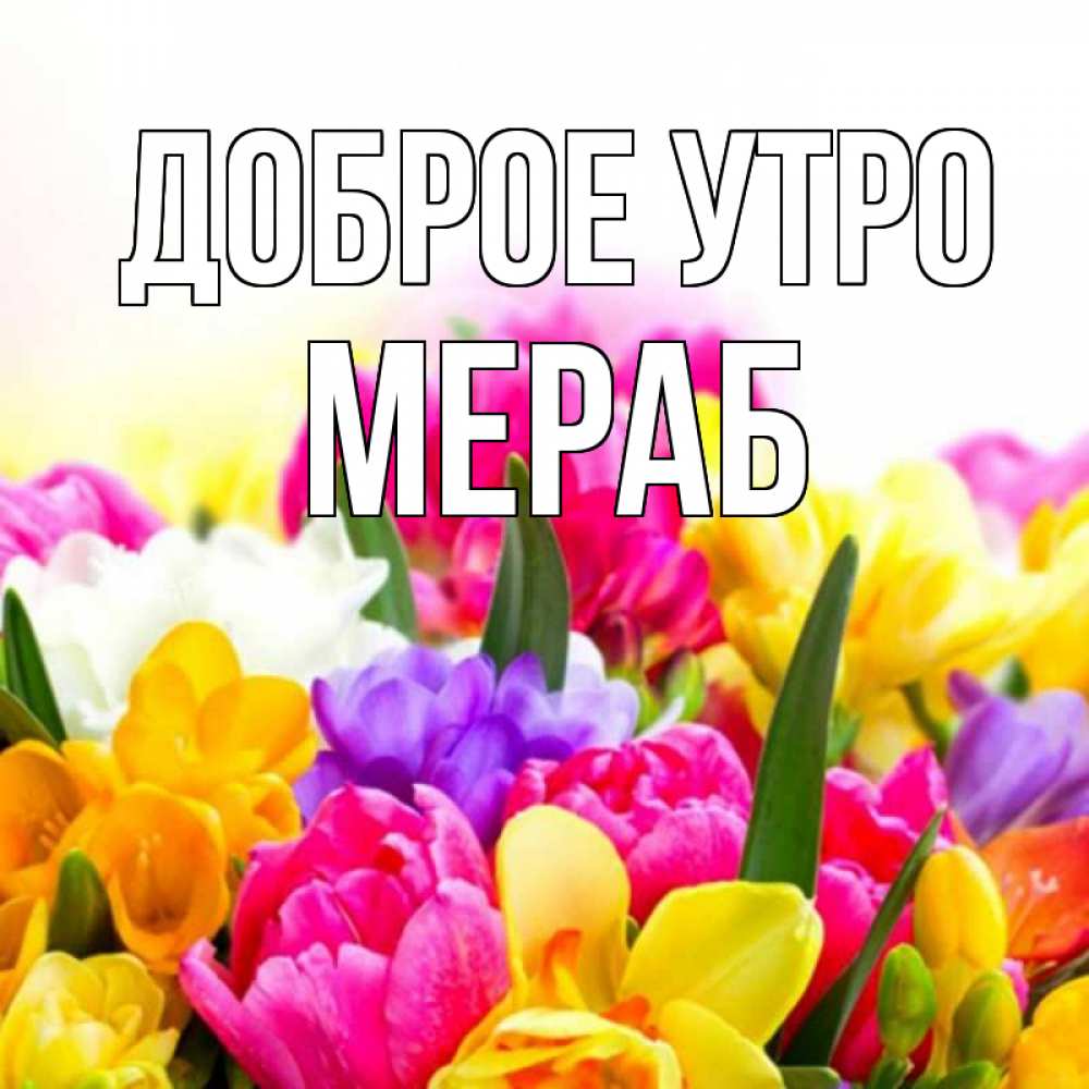 Открытка на каждый день с именем, Мераб Доброе утро создать открытку со свое подписью Прикольная открытка с пожеланием онлайн скачать бесплатно 