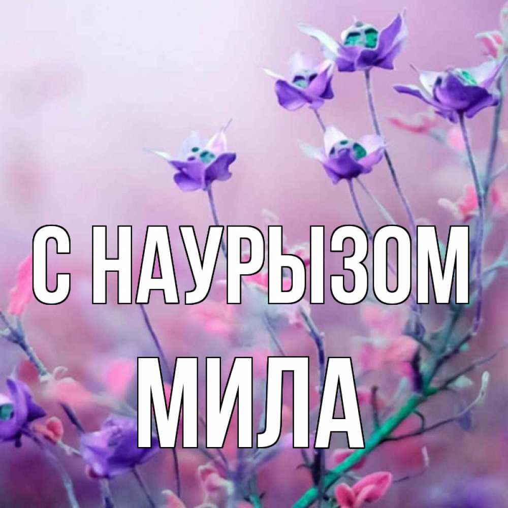 Открытка на каждый день с именем, Мила С наурызом международный женский день 2 Прикольная открытка с пожеланием онлайн скачать бесплатно 