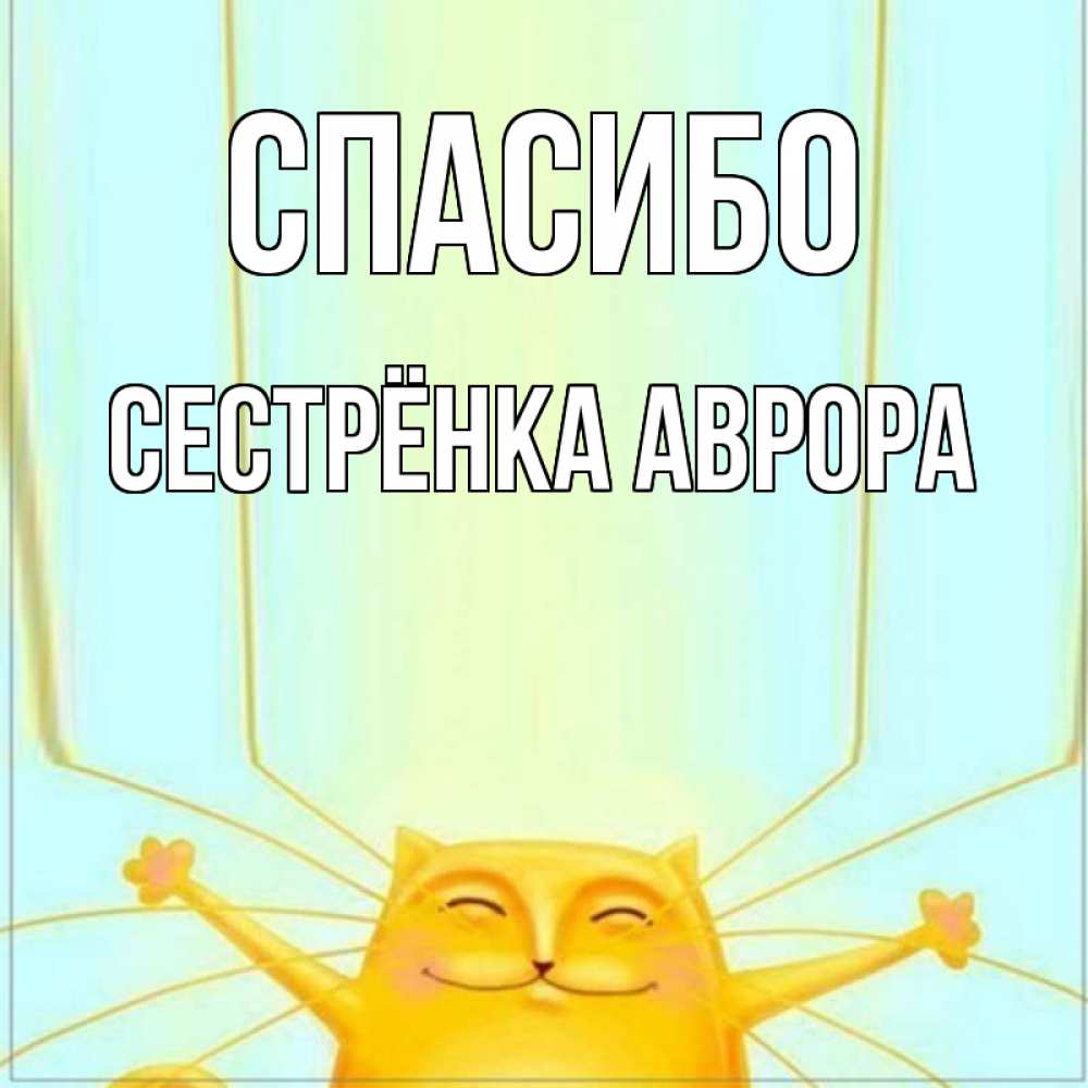 Открытка на каждый день с именем, Сестрёнка-Аврора Спасибо кот с усами благодарит Прикольная открытка с пожеланием онлайн скачать бесплатно 