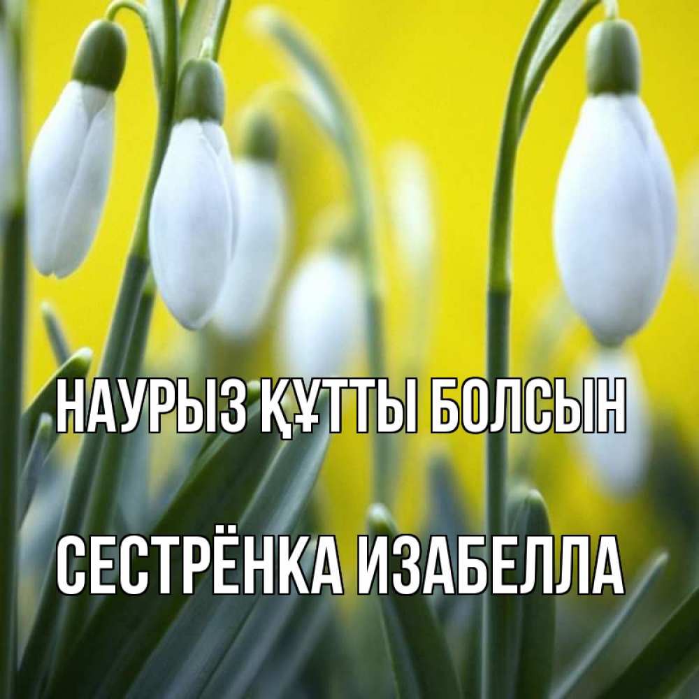 Открытка на каждый день с именем, Сестрёнка-Изабелла Наурыз құтты болсын весенние цветы Прикольная открытка с пожеланием онлайн скачать бесплатно 
