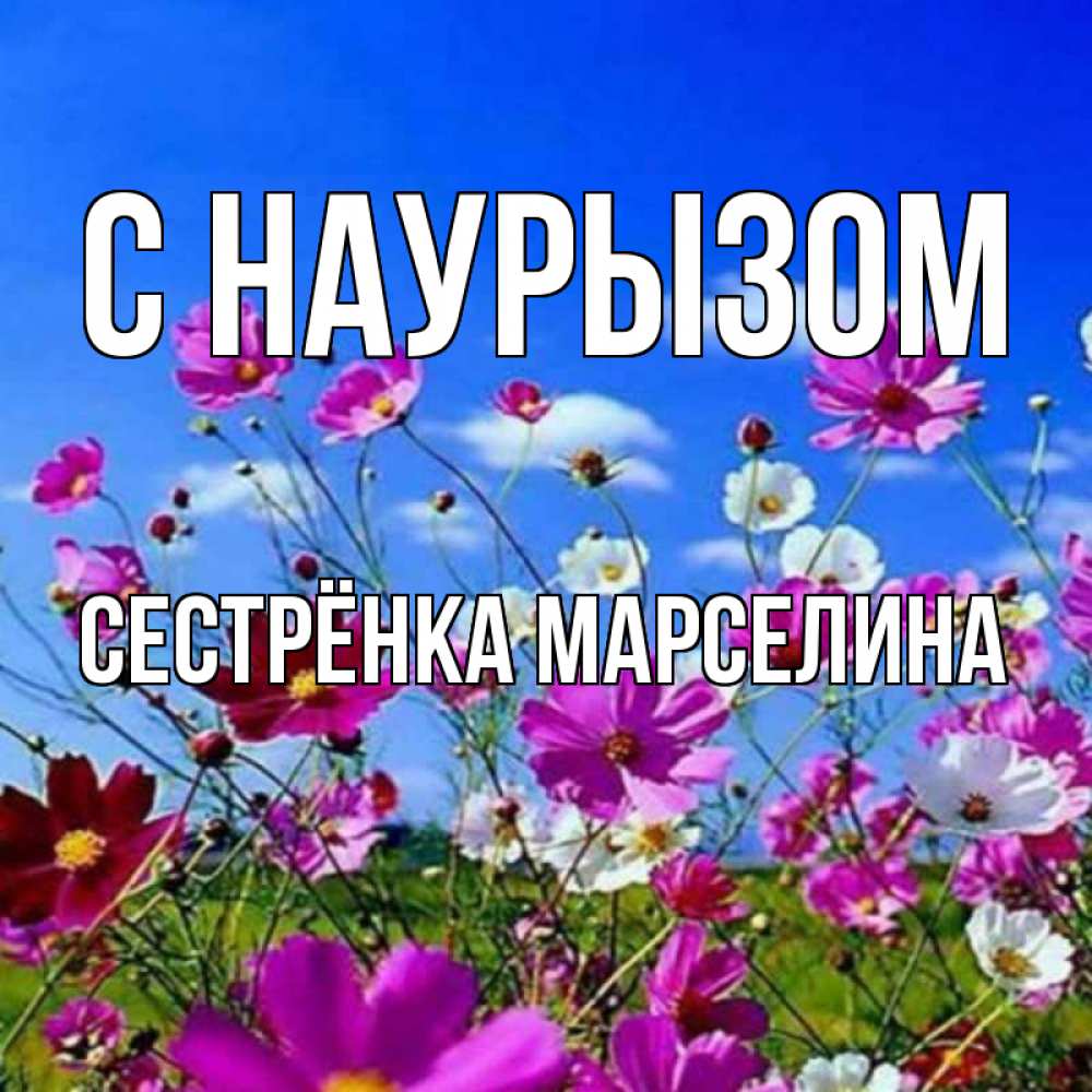Открытка на каждый день с именем, Сестрёнка-Марселина С наурызом цветы Прикольная открытка с пожеланием онлайн скачать бесплатно 