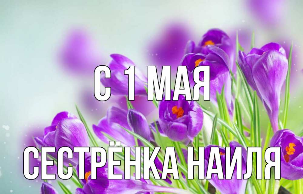 Открытка на каждый день с именем, Сестрёнка-Наиля С 1 мая 1 мая Прикольная открытка с пожеланием онлайн скачать бесплатно 