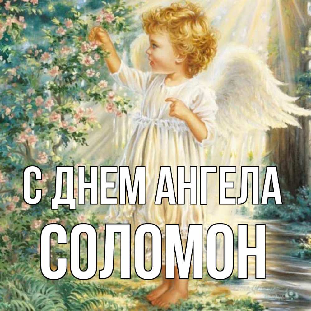 Открытка на каждый день с именем, Соломон С днем ангела собирает цветы Прикольная открытка с пожеланием онлайн скачать бесплатно 