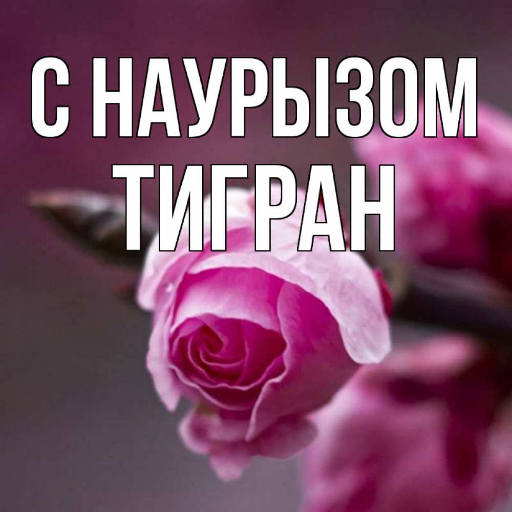 Открытка на каждый день с именем, Тигран С наурызом весна Прикольная открытка с пожеланием онлайн скачать бесплатно 