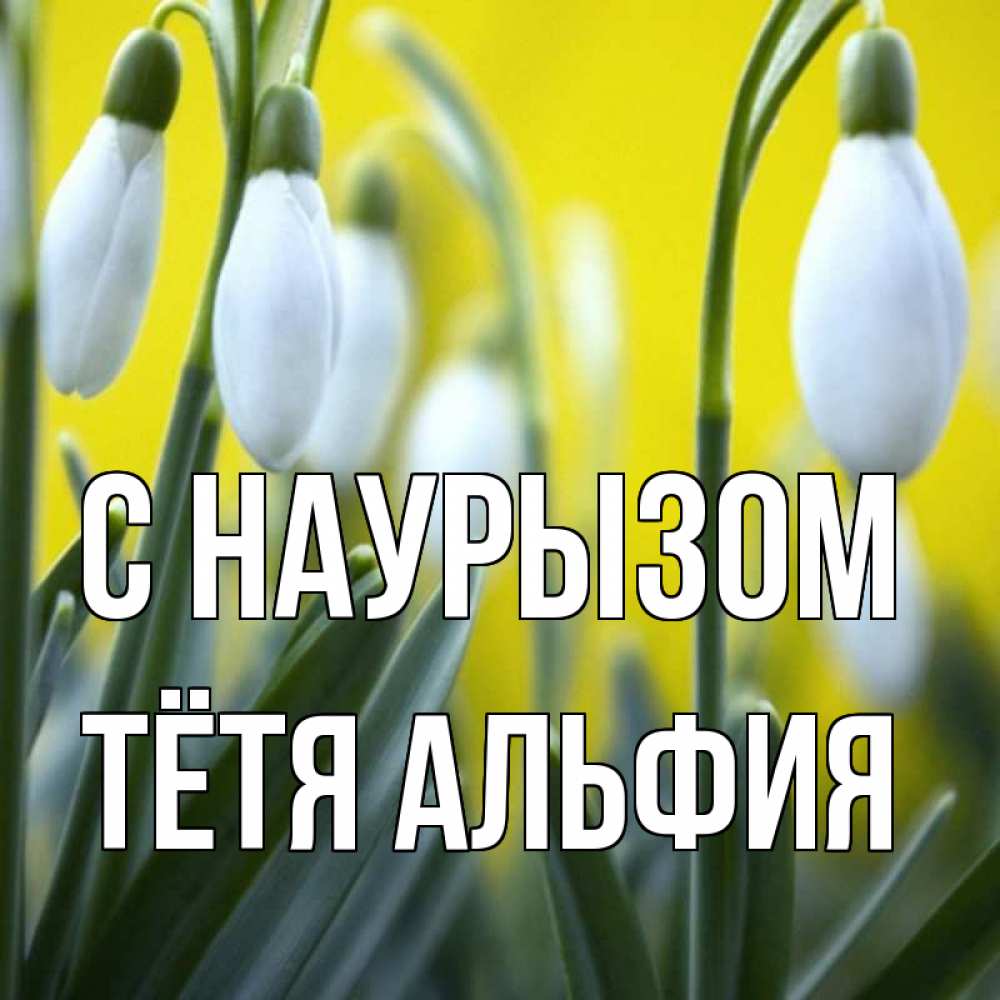 Открытка на каждый день с именем, Тётя-Альфия С наурызом весенние цветы Прикольная открытка с пожеланием онлайн скачать бесплатно 