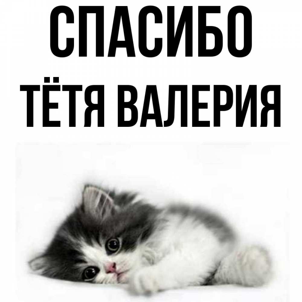 Открытка на каждый день с именем, Тётя-Валерия Спасибо черный и белый кот Прикольная открытка с пожеланием онлайн скачать бесплатно 