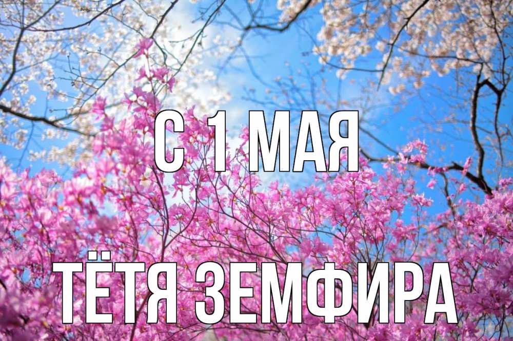 Открытка на каждый день с именем, Тётя-Земфира С 1 мая С 1 мая Прикольная открытка с пожеланием онлайн скачать бесплатно 