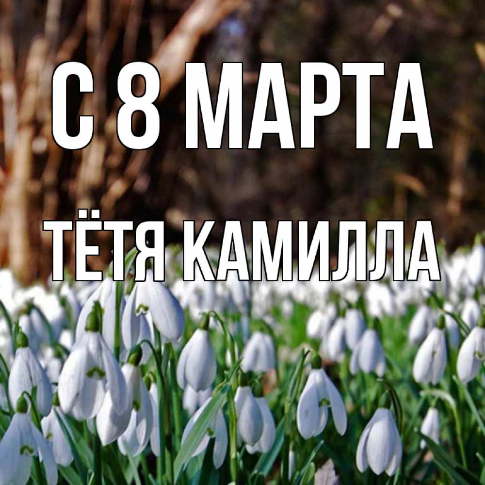 Открытка на каждый день с именем, Тётя-Камилла С 8 МАРТА с подснежниками 1 Прикольная открытка с пожеланием онлайн скачать бесплатно 