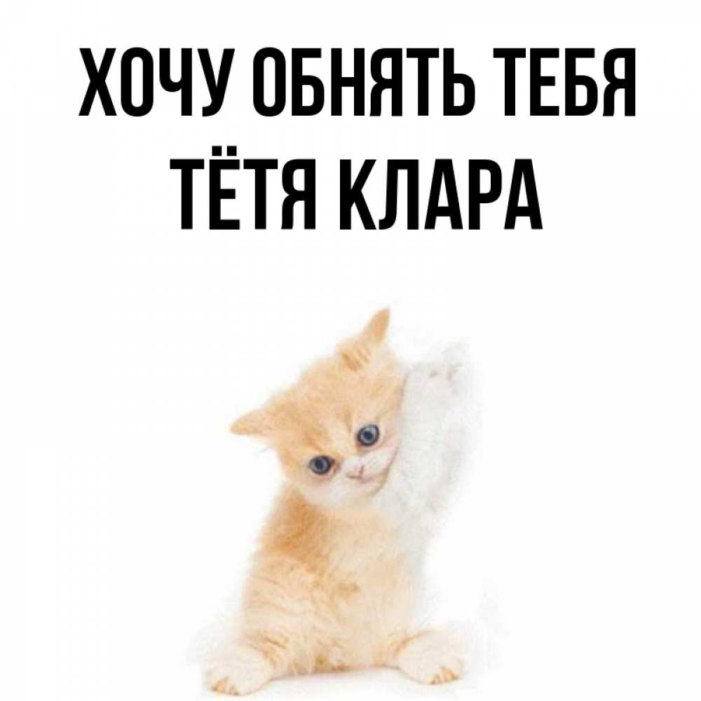 Открытка на каждый день с именем, Тётя-Клара Хочу обнять тебя я хочу очень скорее обнимаешек Прикольная открытка с пожеланием онлайн скачать бесплатно 