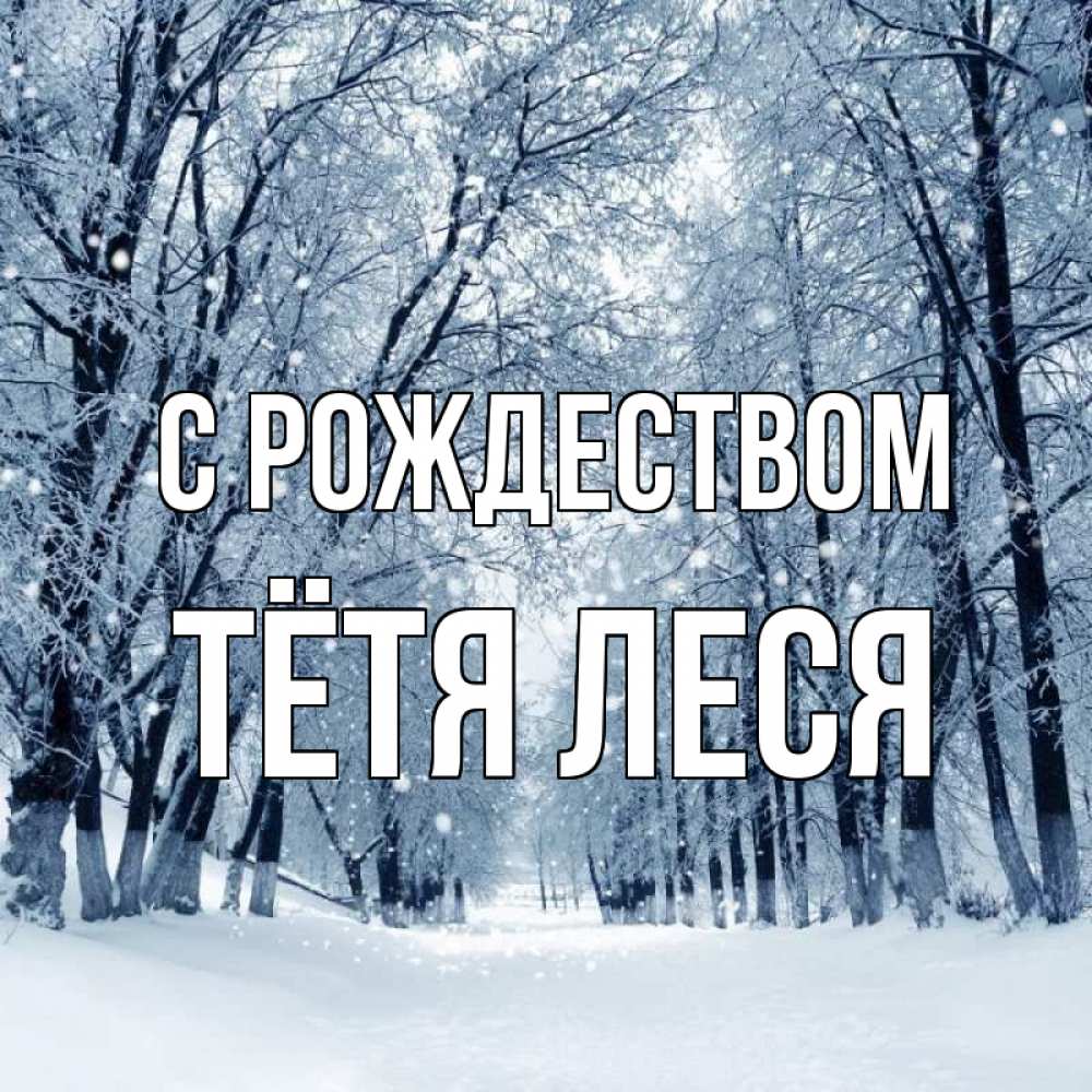 Открытка на каждый день с именем, Тётя-Леся С рождеством снег, лес, парк Прикольная открытка с пожеланием онлайн скачать бесплатно 