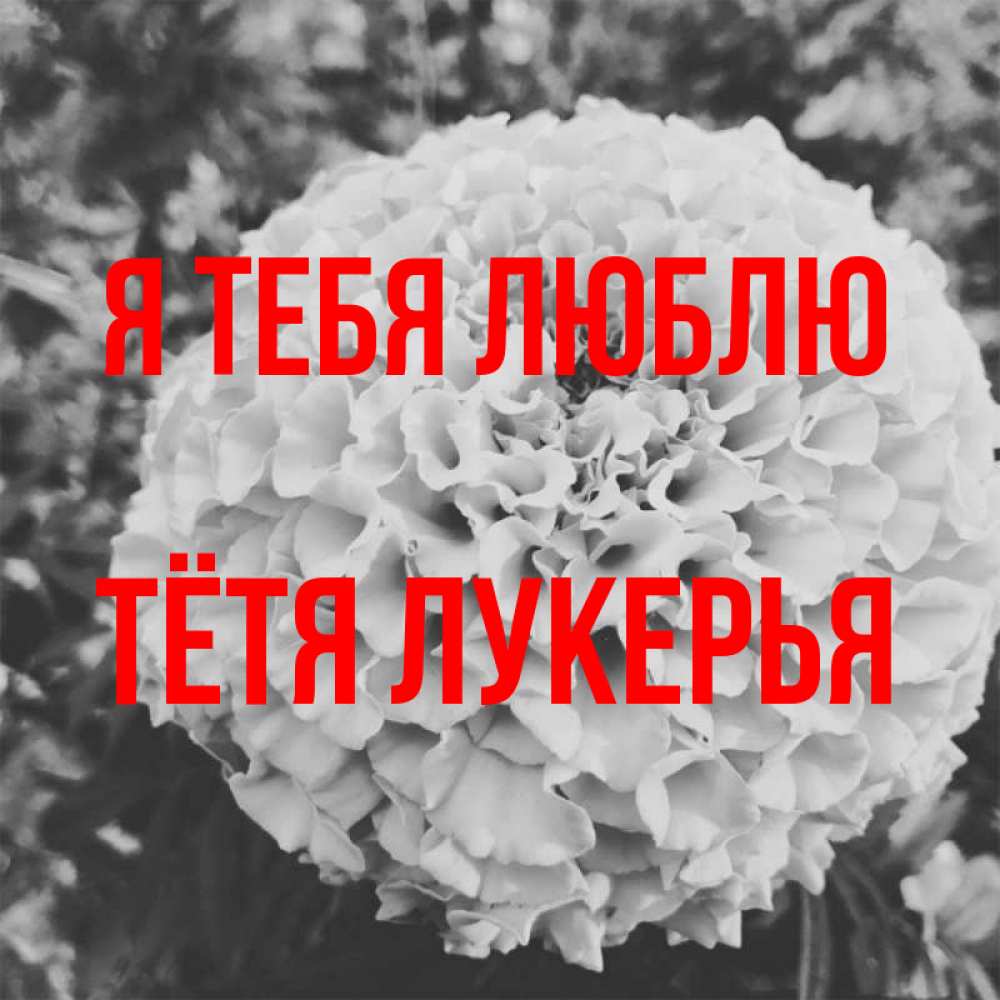 Открытка на каждый день с именем, Тётя-Лукерья Я тебя люблю подпись Прикольная открытка с пожеланием онлайн скачать бесплатно 