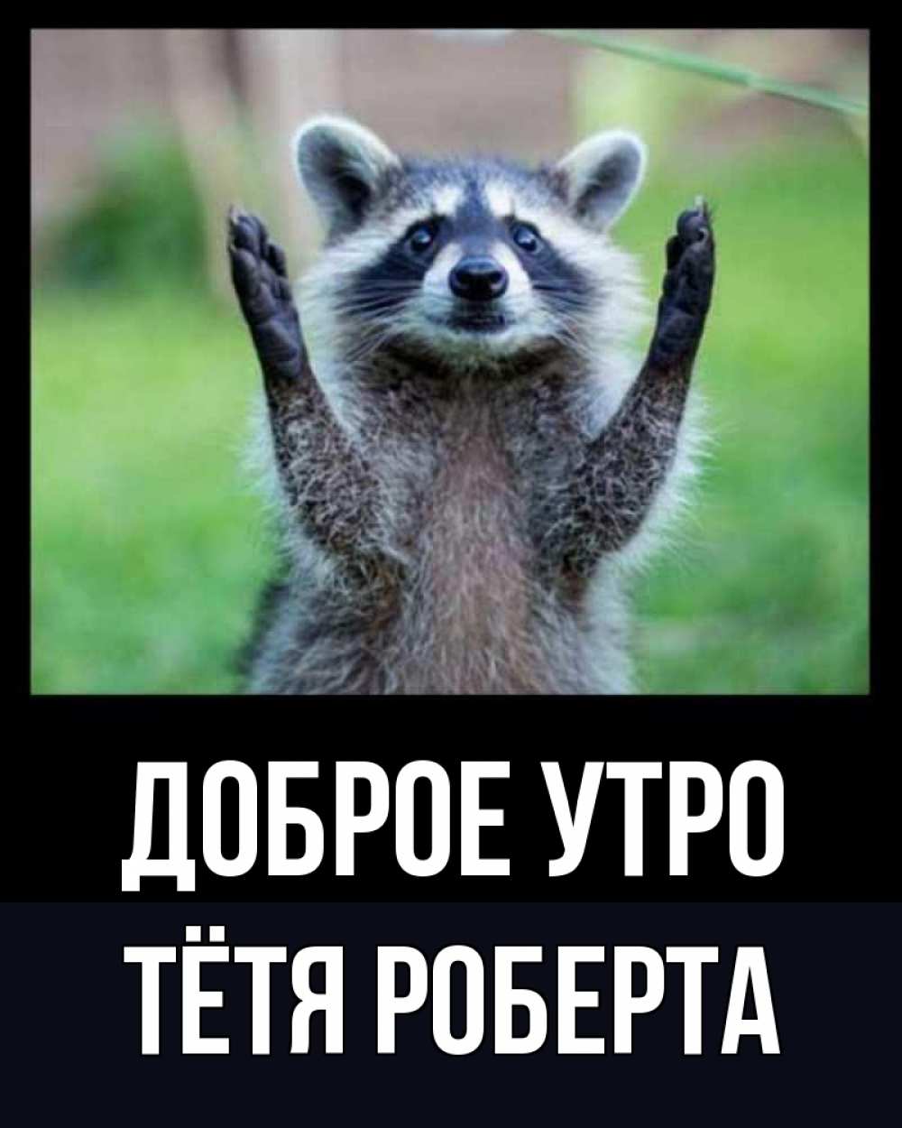 Открытка на каждый день с именем, Тётя-Роберта Доброе утро хорошее настроение утречком Прикольная открытка с пожеланием онлайн скачать бесплатно 