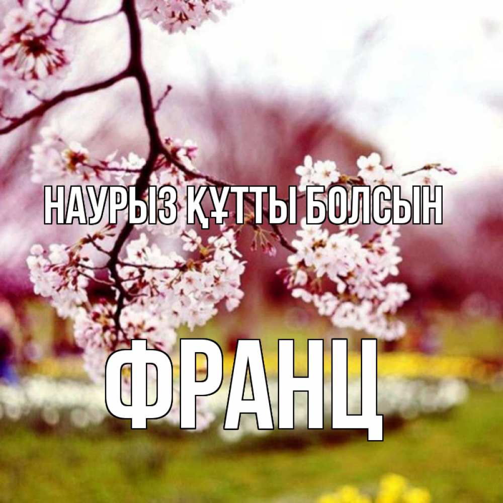 Открытка на каждый день с именем, Франц Наурыз құтты болсын яблоня Прикольная открытка с пожеланием онлайн скачать бесплатно 