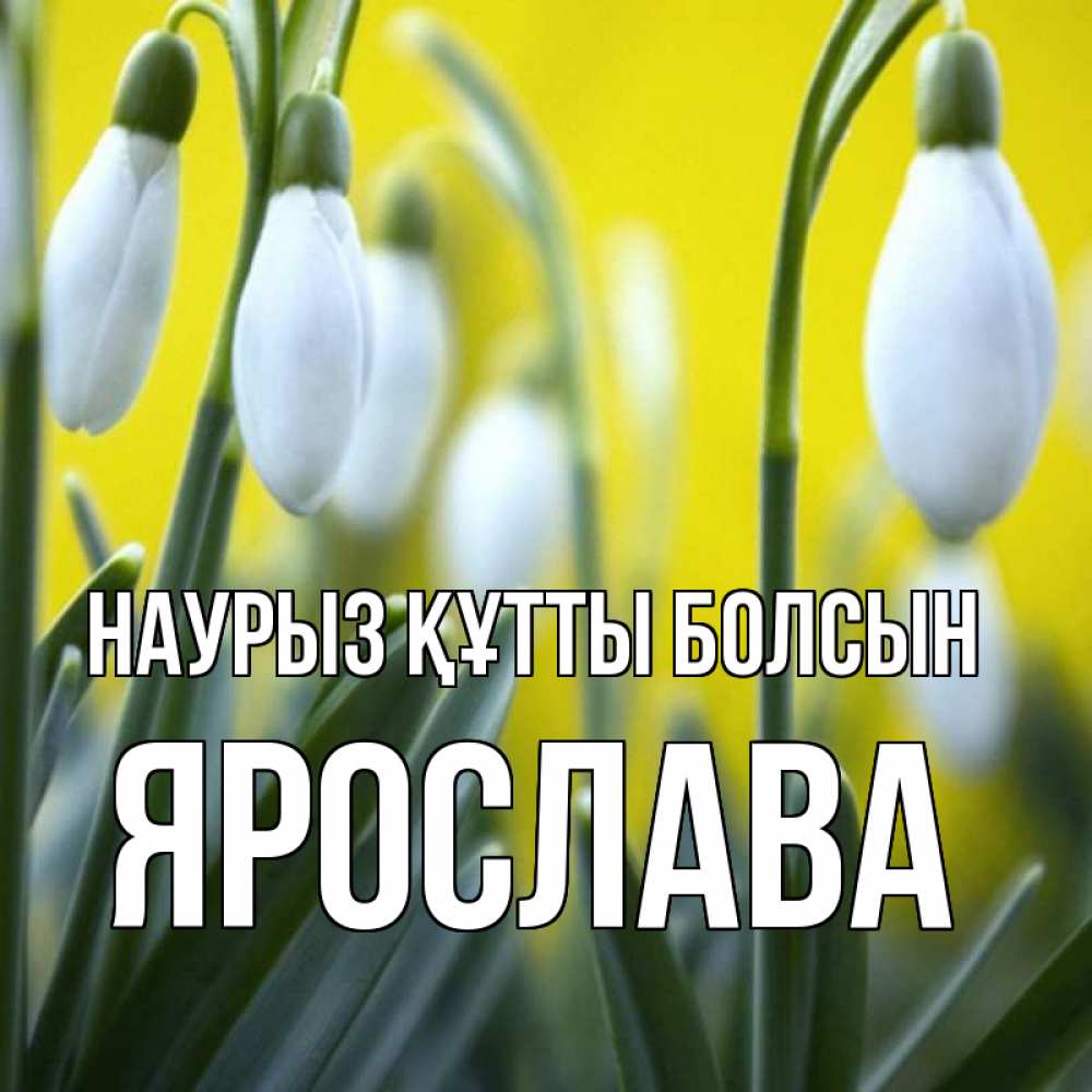 Открытка на каждый день с именем, Ярослава Наурыз құтты болсын весенние цветы Прикольная открытка с пожеланием онлайн скачать бесплатно 