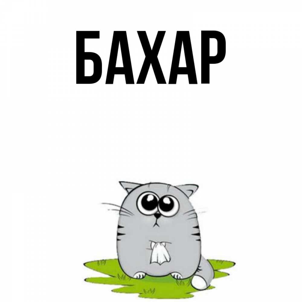 Открытка на каждый день с именем, Бахар Главная грустный котяра Прикольная открытка с пожеланием онлайн скачать бесплатно 