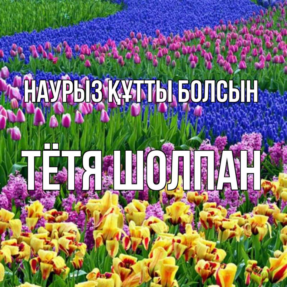 Открытка на каждый день с именем, Тётя-Шолпан Наурыз құтты болсын цветы Прикольная открытка с пожеланием онлайн скачать бесплатно 