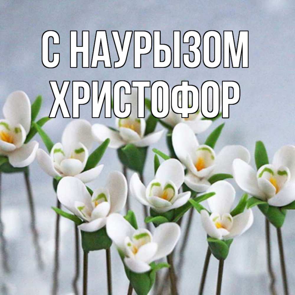 Открытка на каждый день с именем, Христофор С наурызом весенние цветы Прикольная открытка с пожеланием онлайн скачать бесплатно 