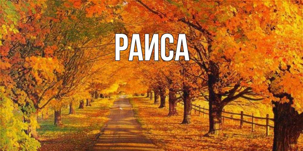 Открытка на каждый день с именем, Раиса Главная деревья с осенними листьями Прикольная открытка с пожеланием онлайн скачать бесплатно 