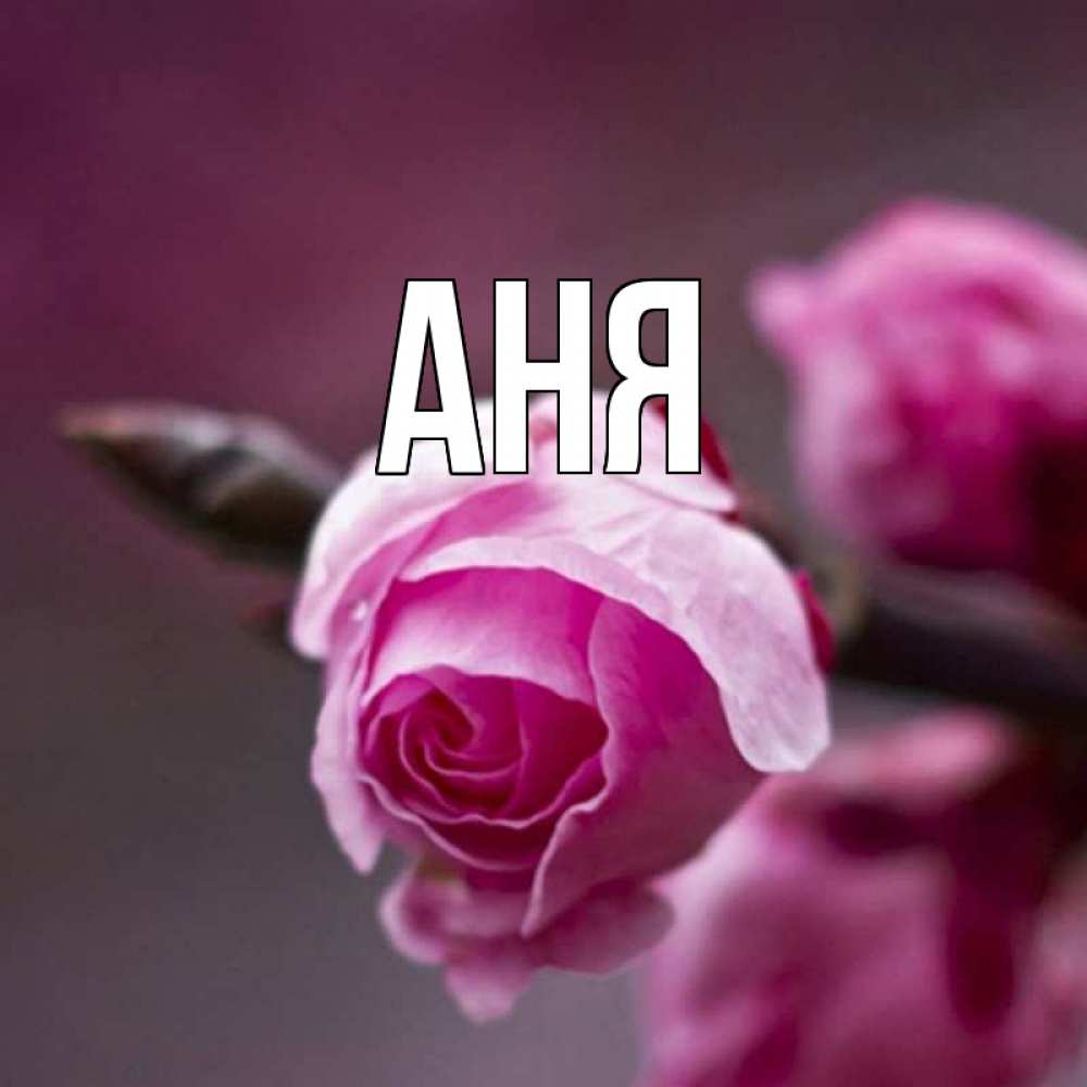 Днем ангела, открытки именем аня