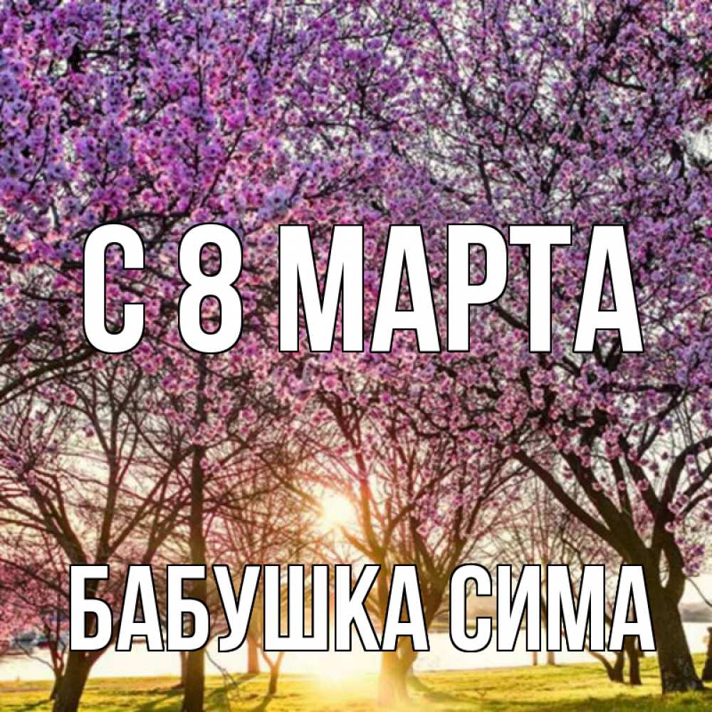 Открытка на каждый день с именем, Бабушка-Сима С 8 МАРТА международный женский день Прикольная открытка с пожеланием онлайн скачать бесплатно 