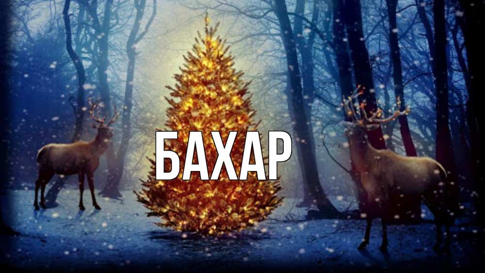 Открытка на каждый день с именем, Бахар Главная олени, новогодняя елка Прикольная открытка с пожеланием онлайн скачать бесплатно 