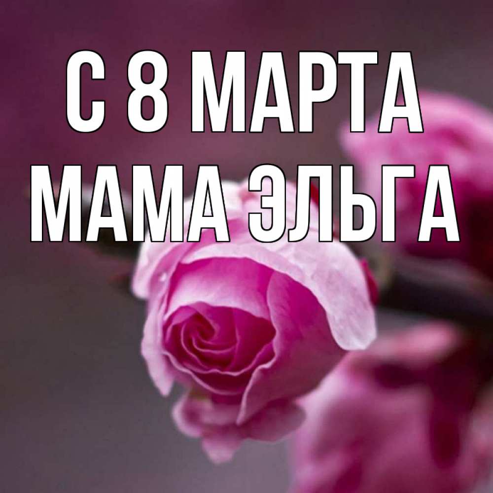 Открытка на каждый день с именем, Мама-Эльга С 8 марта весна Прикольная открытка с пожеланием онлайн скачать бесплатно 