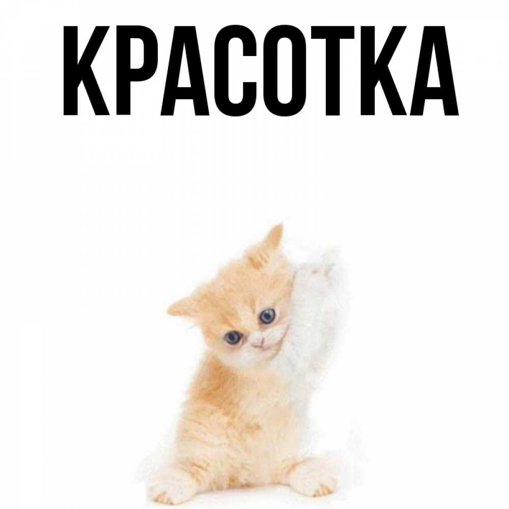 Открытка на каждый день с именем, красотка Главная я хочу очень скорее обнимаешек Прикольная открытка с пожеланием онлайн скачать бесплатно 