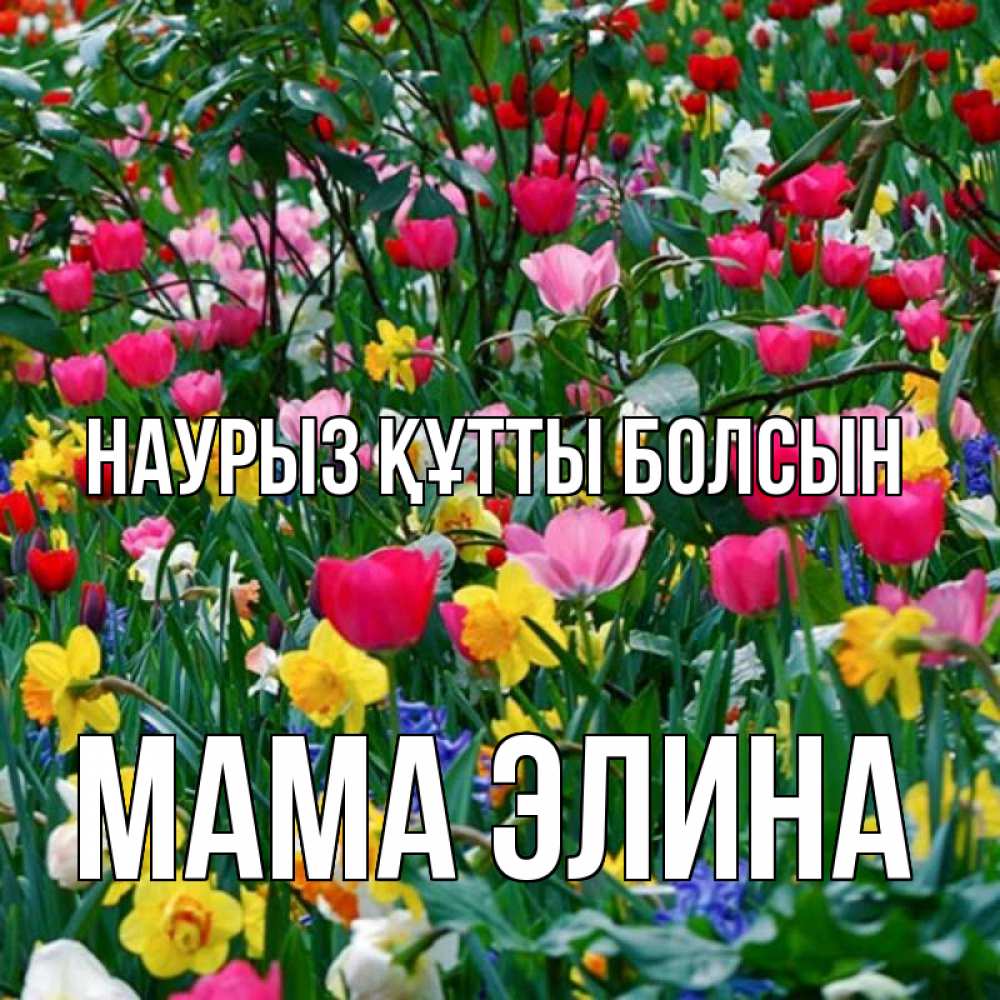Открытка на каждый день с именем, Мама-Элина Наурыз құтты болсын с наурызом поздравления для женщины Прикольная открытка с пожеланием онлайн скачать бесплатно 