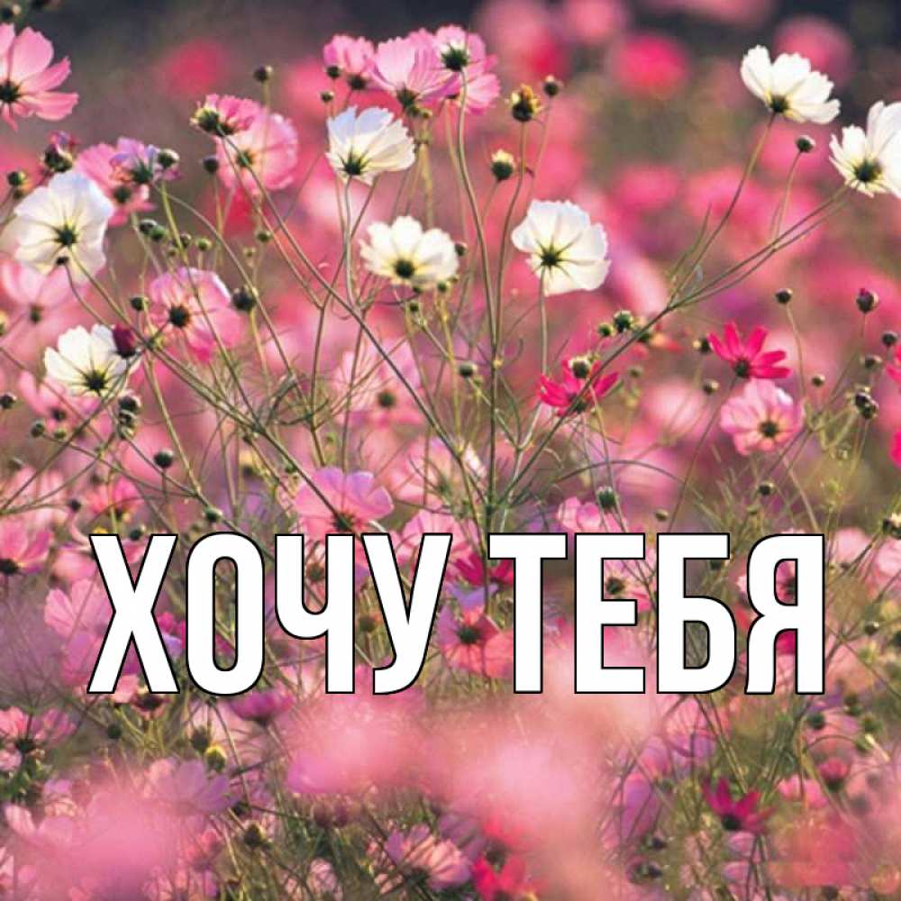 Открытка на каждый день с именем, Хочу-тебя Главная красиво 1 Прикольная открытка с пожеланием онлайн скачать бесплатно 