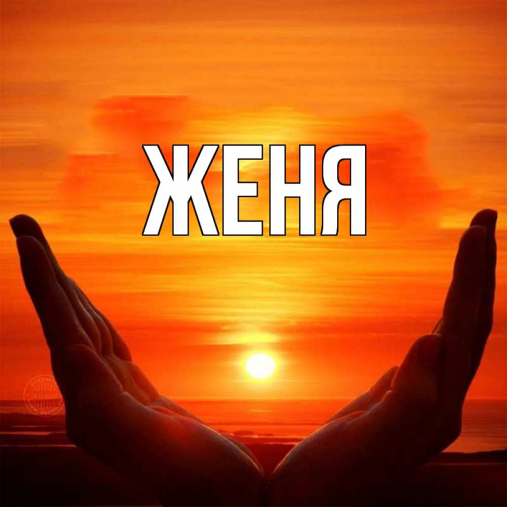Открытка на каждый день с именем, Женя Главная в руках Прикольная открытка с пожеланием онлайн скачать бесплатно 