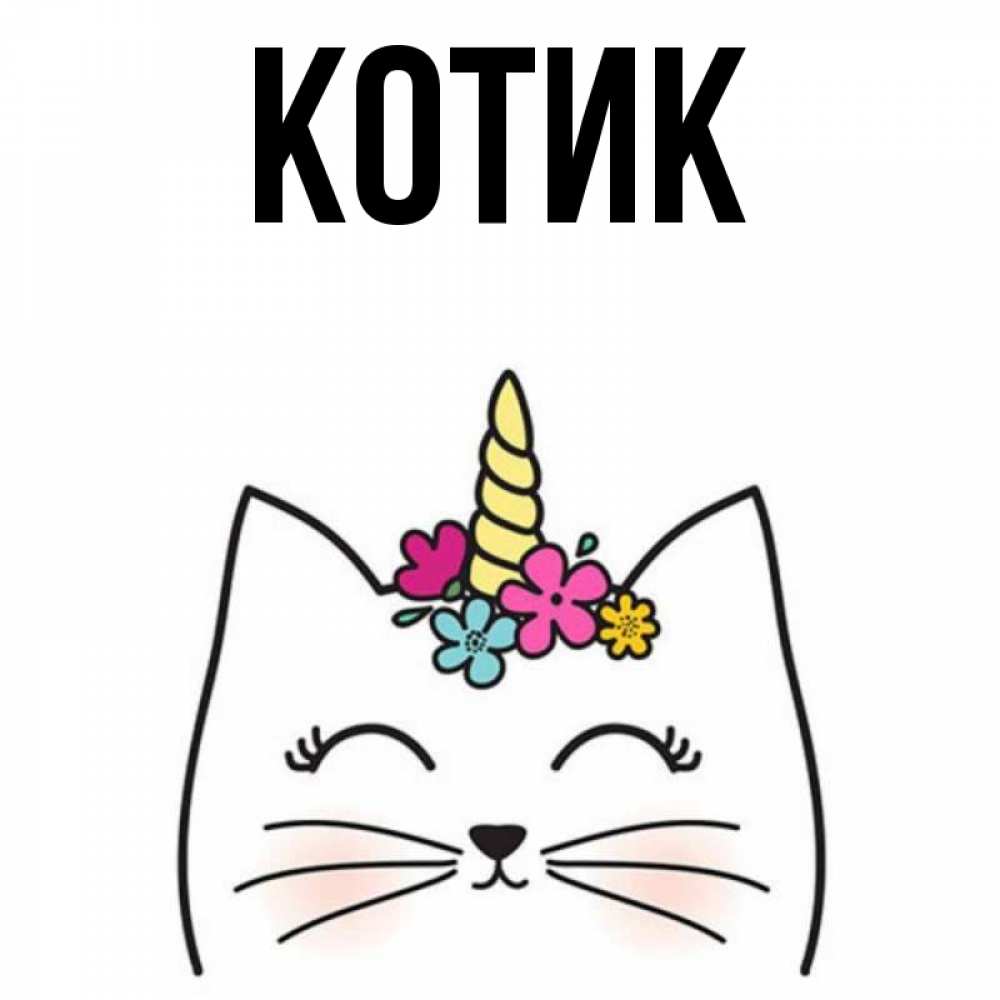 Подпись котик. Подпись котик