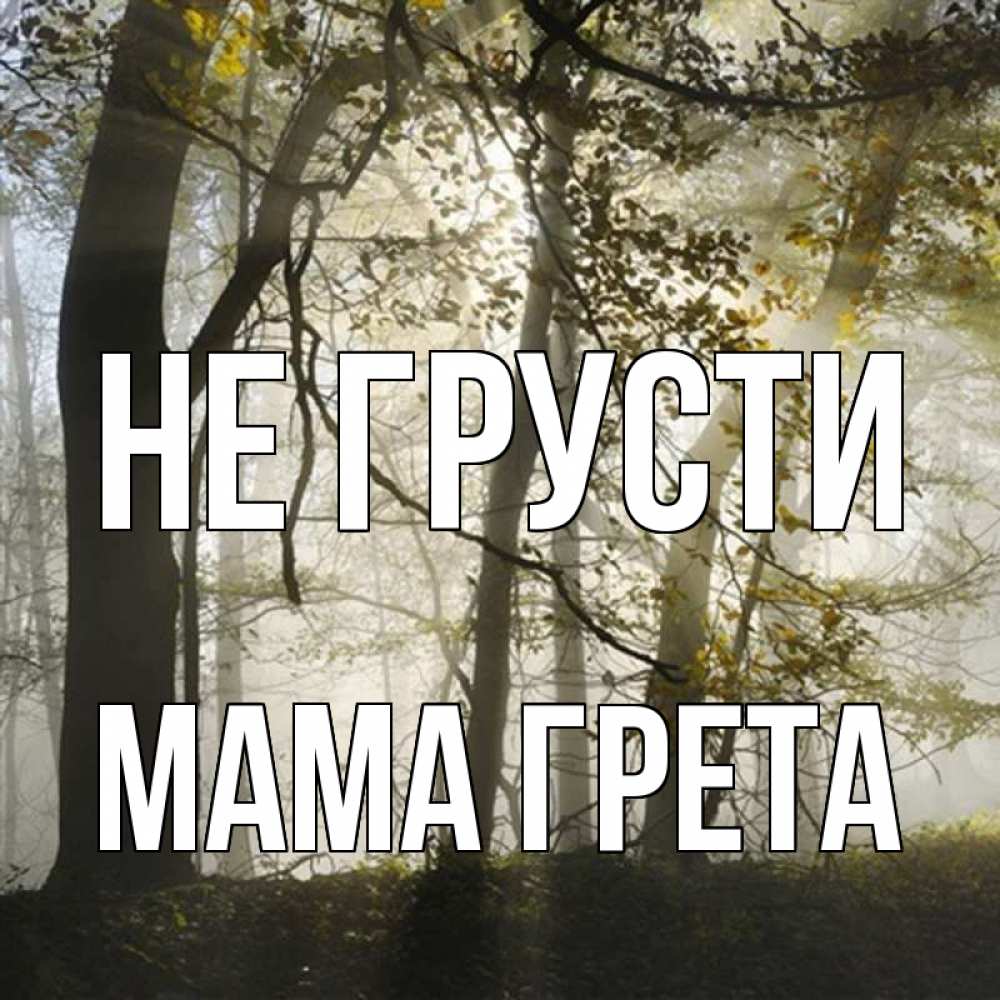 Открытка на каждый день с именем, Мама-Грета Не грусти лес и свет Прикольная открытка с пожеланием онлайн скачать бесплатно 