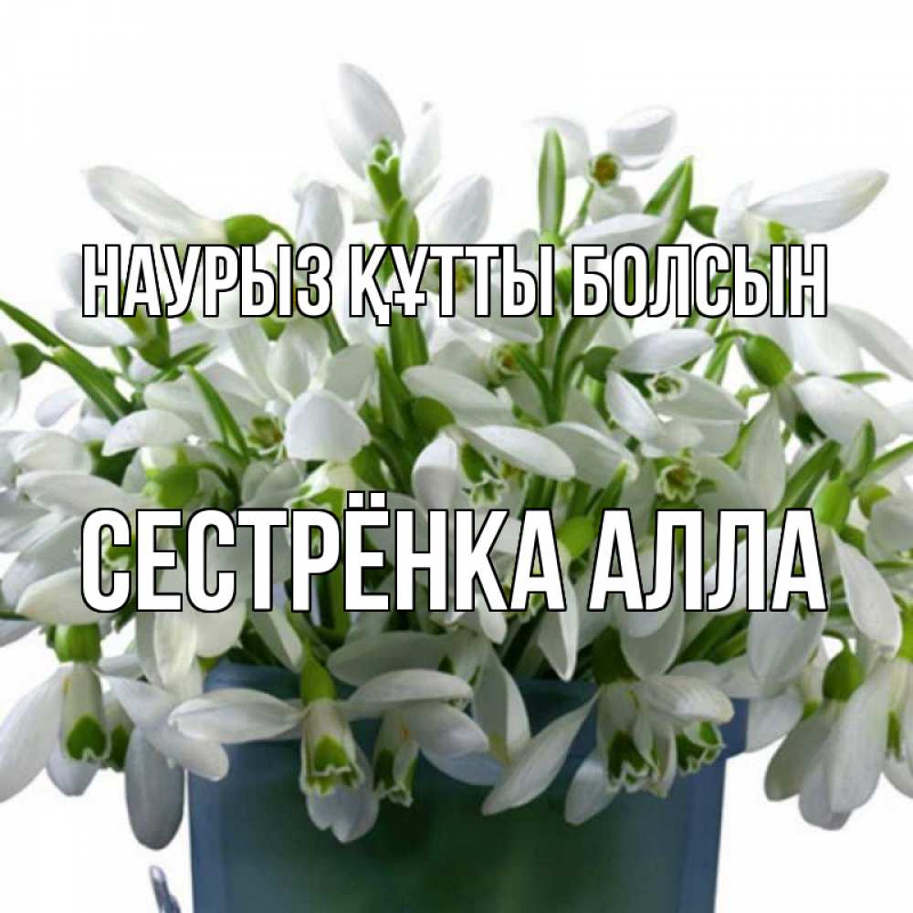 Открытка на каждый день с именем, Сестрёнка-Алла Наурыз құтты болсын цветы к наурызу Прикольная открытка с пожеланием онлайн скачать бесплатно 